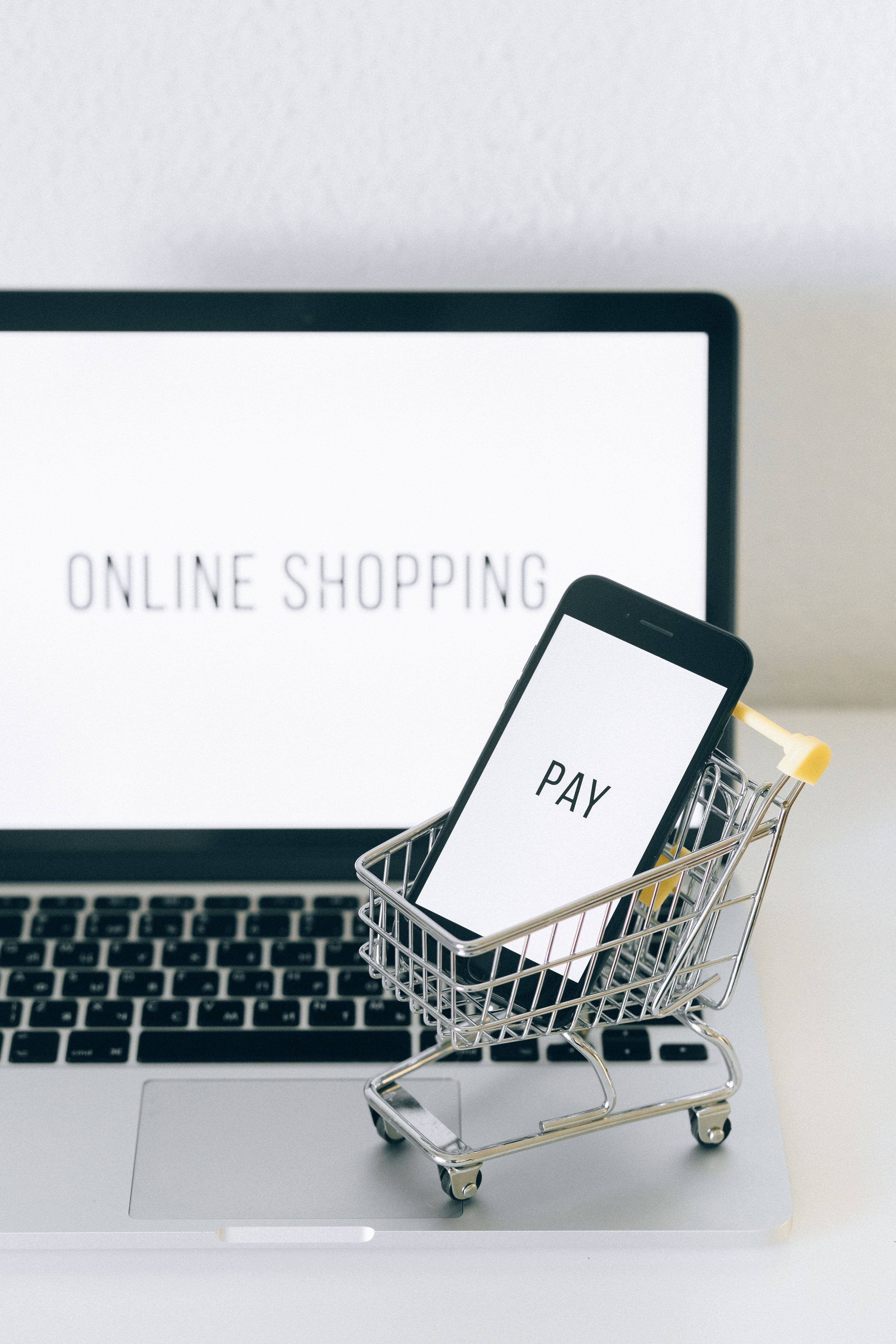 Online shopping laptop with mini cart and pay screen